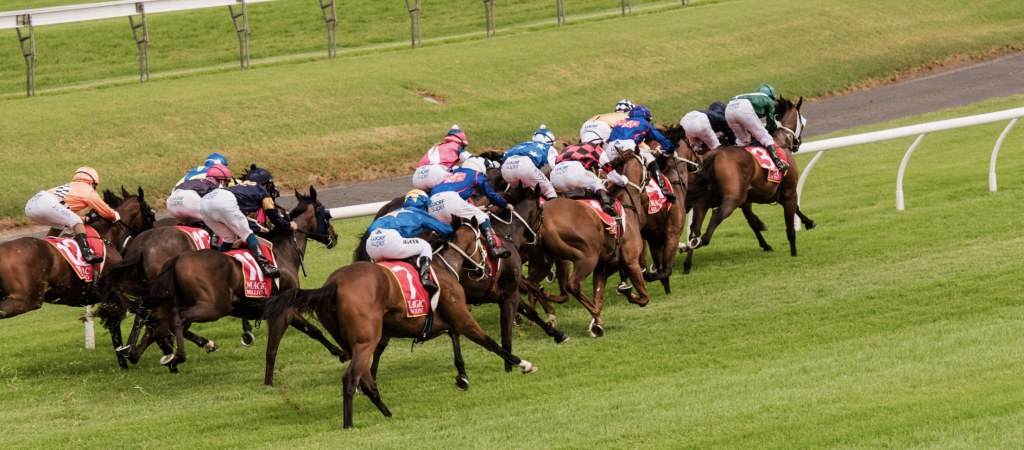 Race Day Information - Morphettville