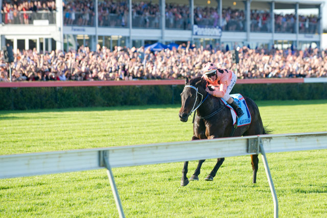 Black Caviar