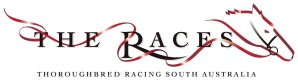 The Races Horse Logo